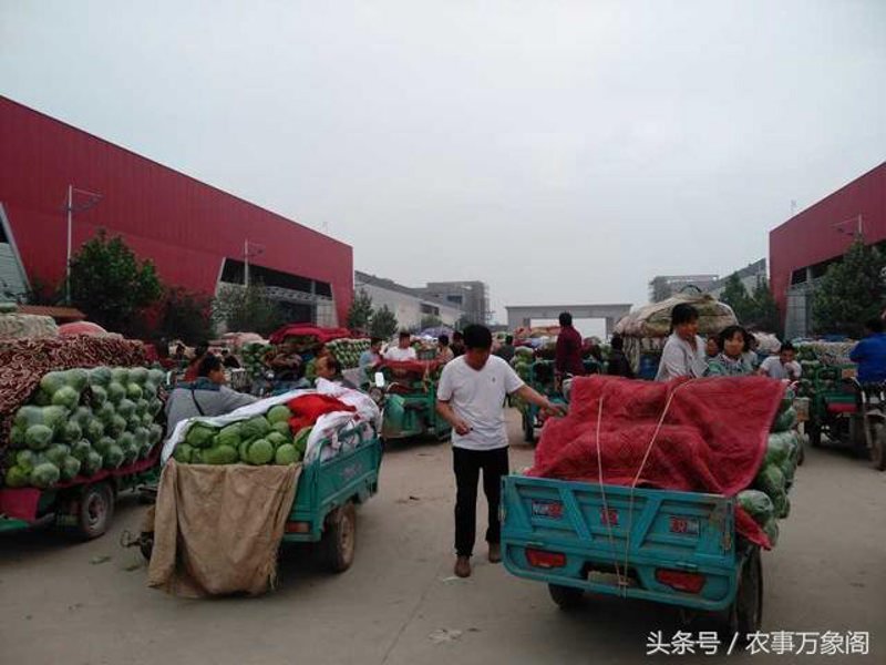养禽业正步入智能化新时代